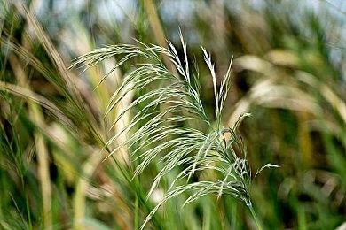 Steam新品节2月25日上线 试玩游戏推荐