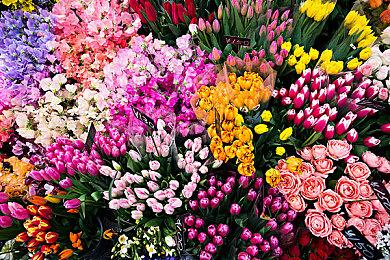 《艾尔登法环》官方公布流浪者与英雄职业截图